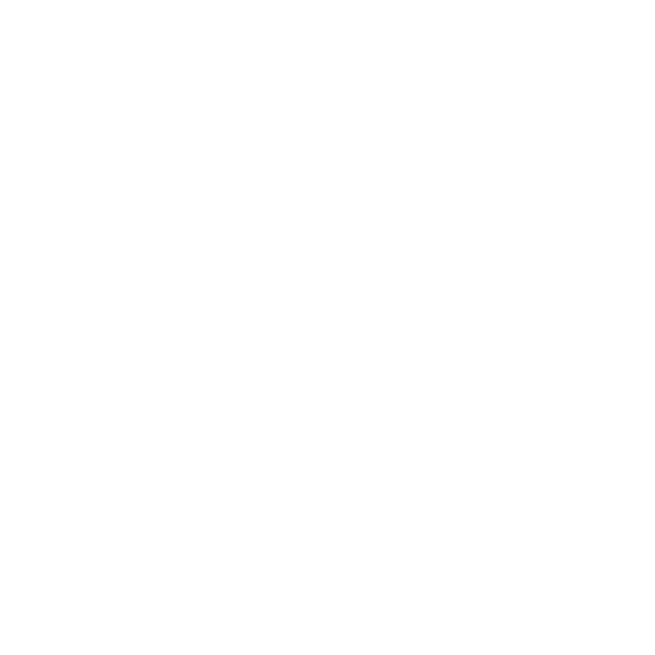 Orvhair